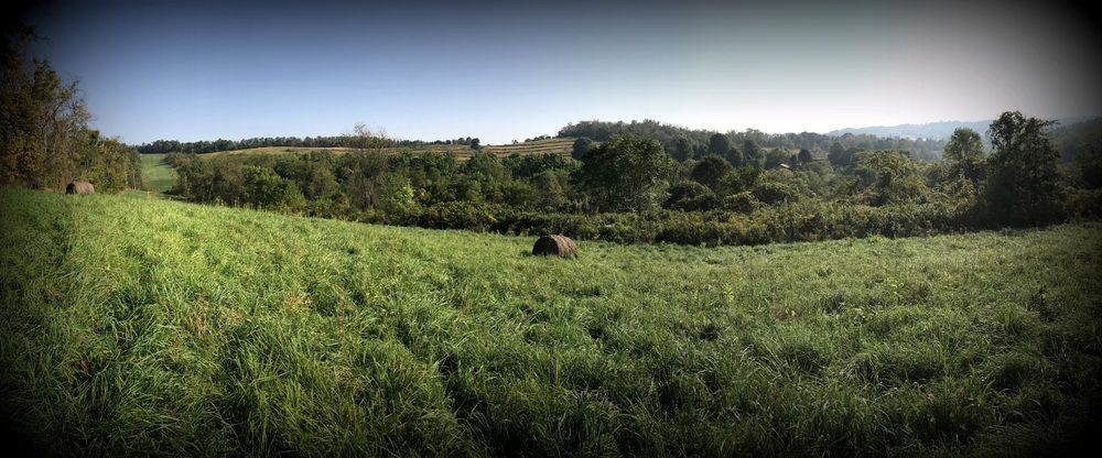 ±87 Acres Land: Route 519, North Strabane, PA 15317